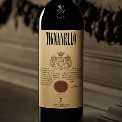 TIGNANELLO 2022 ANTINORI