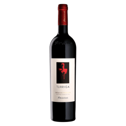 TURRIGA 2021 ARGIOLAS