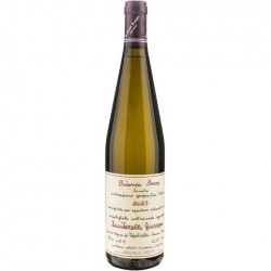 QUINTARELLI BIANCO SECCO 2024